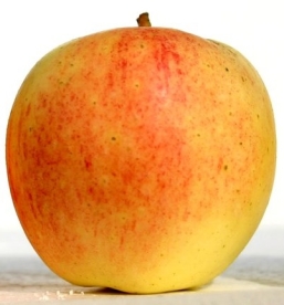 Aedõunapuu ´Kasper´ (Malus domestica)